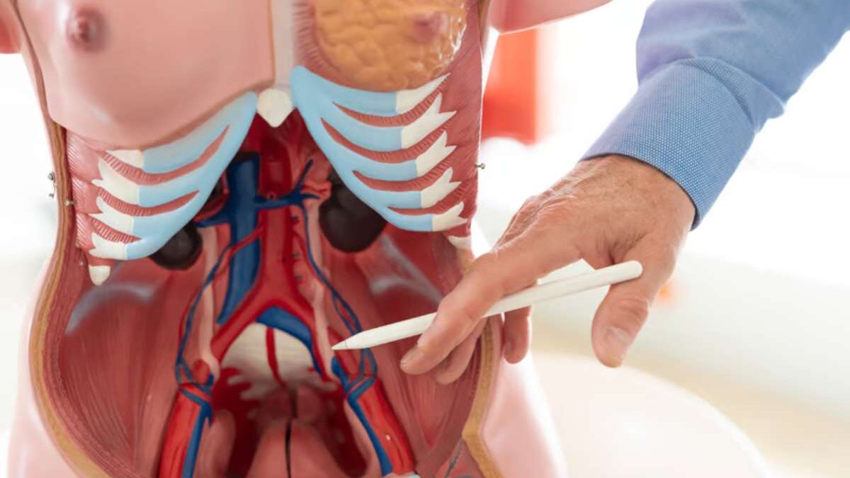 douleur sous côtes droite irradiant dos